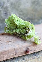 Ants Feasting on Green Cake