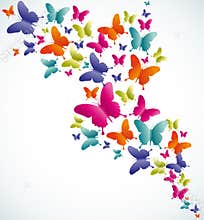 Butterfly summer splash