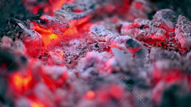 Flicker of smoldering embers lay in ashes, closeup