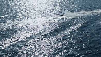 Pair of water scooters ride in sea lit by