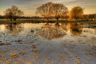 Richmond Park