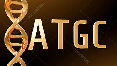 Animation of Gold ATGC letters and rotating DNA