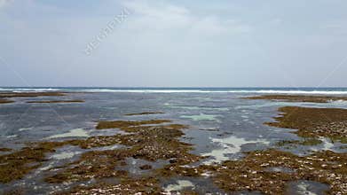 Background image of the turquoise sea. Deep sea and corals. Top view of beautiful Caribbean Sea. Aerial drone shot of