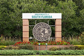 University of South Florida in Tampa, FL.