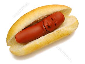 Happy Hot Dog Sausage Fun