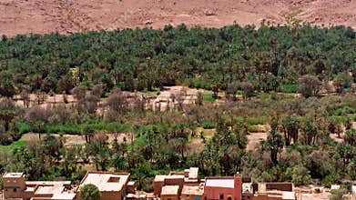 Ziz Valley In Morocco: One Of The Largest Oases In The World