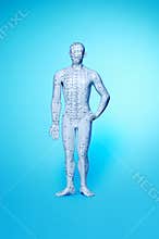 Acupuncture Man Meridian Points