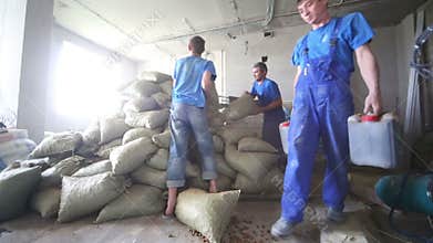 Two workers throw bags and third worker carries