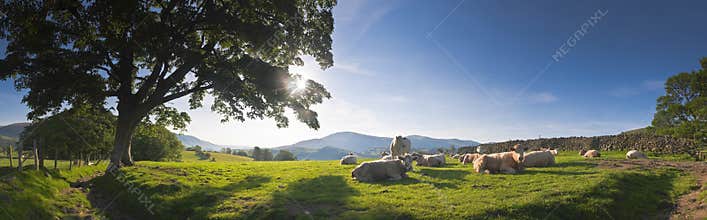 Idyllic rural, Lake District, UK