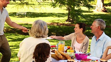 Happy family having a barbecue in the park together