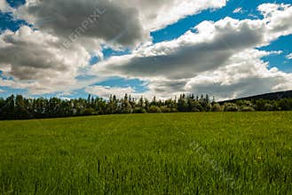 Green Meadow with Dramatic Cloudy Sky and Copy Space for Advertising and Eco Marketing Concepts