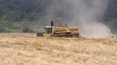 Combine harvesting grain
