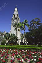 Flowers in Balboa Park, San Diego
