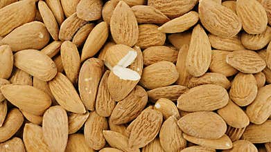 Almonds in various stages of shelling and preparation process