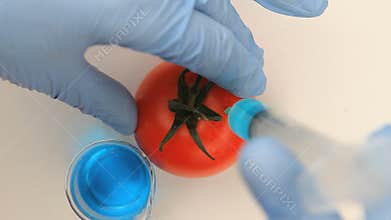Syringe injecting a blue product in a tomato