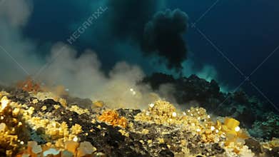 Deep sea hydrothermal vent