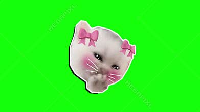 An adorable crying white cat sticker with pink bows and blushing cheeks on a green screen.