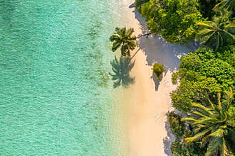Stunning aerial beach landscape with green palm trees, top view of azure calm sea bay, sunshine casting shadows, tropical paradise