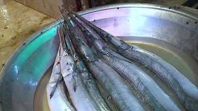 Five needlefish arranged in silver bowl with water