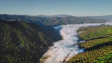 Morning mist flowing through Chiang Mai Province mountains in Thailand