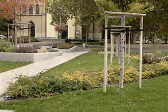 Park with young trees