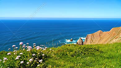 Vibrant Coastal Meadow Overlooking a Dramatic Cliff and Expansive Sea