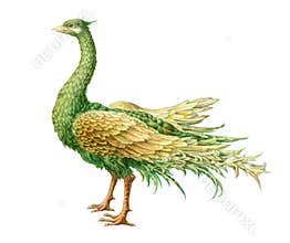 Fairy-tale mystic floristic bird. Isolated on white