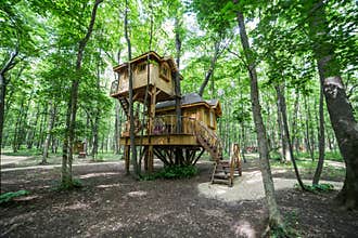 Treehouse in forrest