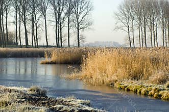 Frozen water