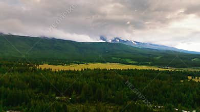 An aerial view of an evergreen pine forest in a national park. A drone flies in the sky above the wild forests. A bird's-eye