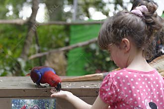 Young girl feeding a parrot