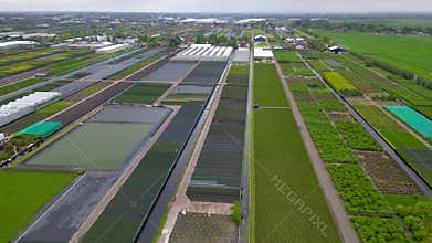 erial view of pattern of fields, green houses and farms near Bodegraven city in the Netherlands