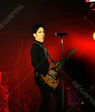 PRINCE IN CONCERT