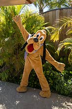 tropical pluto
