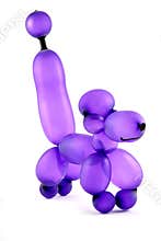 Balloon dog