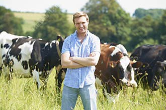 Portrait Of Dairy Farmer In Field With Cattle
