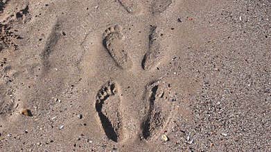 Footprints on the beach