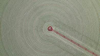 Turning clockwise over a circular field