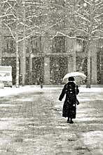 Walking in the snow