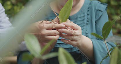 Person with blindness disability learning plants and gardening with the helping of her senior friend gardener