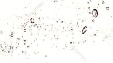 Bubbles floating in water on white background