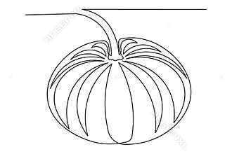 Continuous line pumpkin sketch in clean minimalist outline