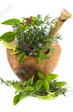 Herbs