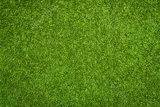 Artificial grass texture