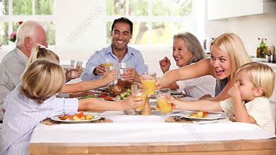 Family raising their glasses at family dinner