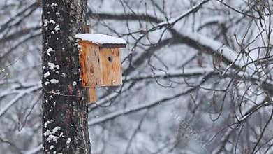 Details of actual snow falling at daytime in European city complicated life