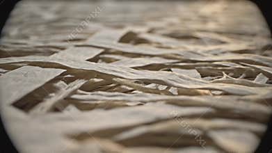 Paper Fibers in Slow Motion