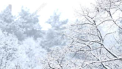 Details of actual snow falling at daytime in European city complicated life