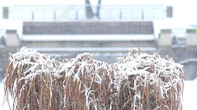 Details of actual snow falling at daytime in European city complicated life