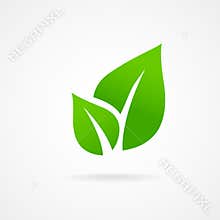 Eco icon green leaf vector
